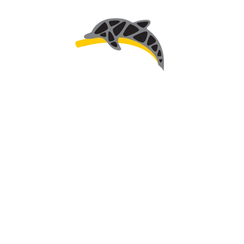 Sami Design